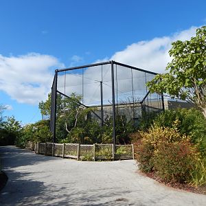 Islands - Monsoon Forest hornbill aviary 071020