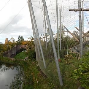 Islands - Orangutan (enclosure outdoors)? 071020