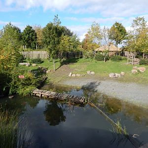 Islands - Lowland anoa enclosure 071020