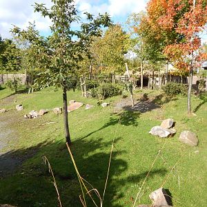 Islands - Lowland anoa enclosure 071020