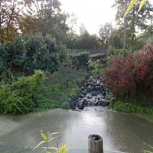 Spectacled bear enclosure 071020