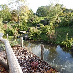 Spectacled bear enclosure 071020