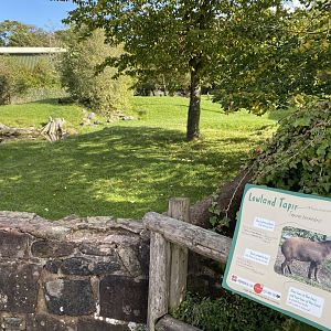 South American tapir enclosure 071020
