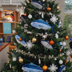 Tuna Christmas Tree