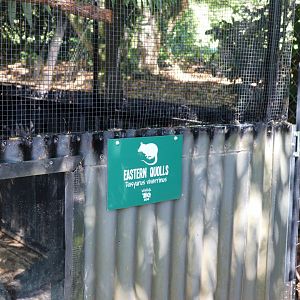 Eastern Quoll Sign