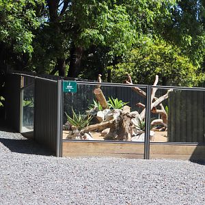 New Meerkat Enclosure