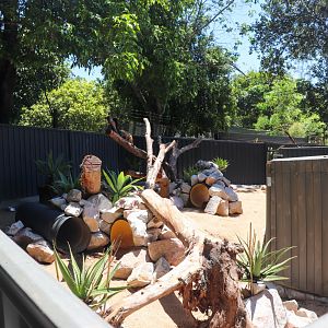 New Meerkat Enclosure