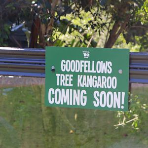 Goodfellow's Tree Kangaroo Sign