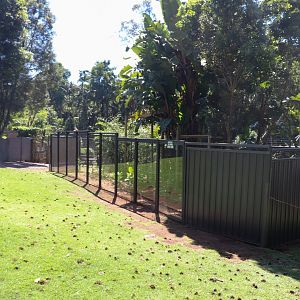 Future Goodfellow's Tree Kangaroo Enclosure