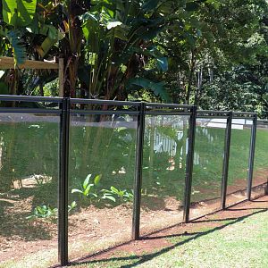 Future Goodfellow's Tree Kangaroo Enclosure