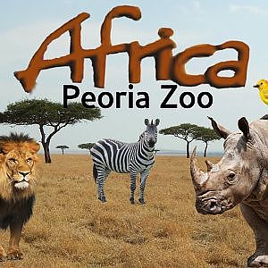 Virtual Zoo Tours Ep. 5: Africa | Peoria Zoo (1080p60) - YouTube