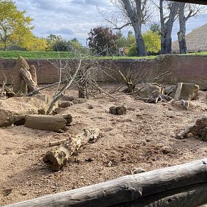 Meerkat enclosure 071020