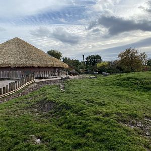 Eastern black rhinoceros enclosure 071020