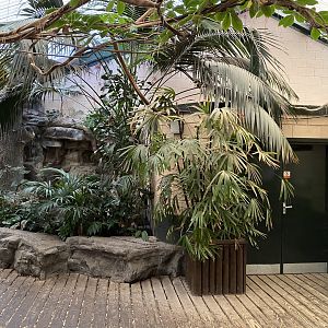 Monkey House entrance area 071020