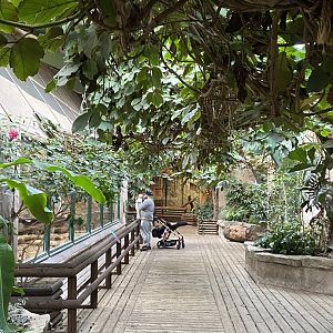 Monkey House indoors 071020