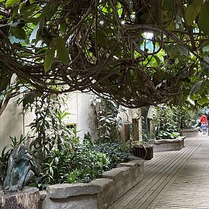 Monkey House indoors 071020