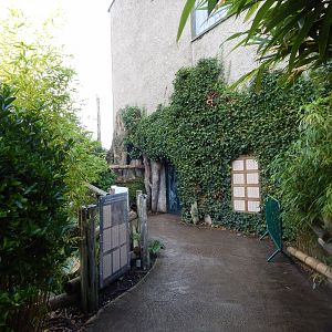 Elephants of the Asian Forest entrance/exit 081020