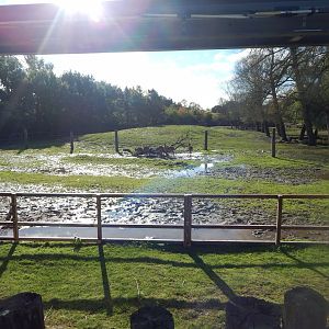 Indian rhinoceros and Myanmar thamin enclosure 081020
