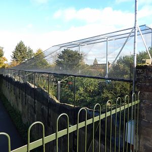 Edge of Europe aviary 081020