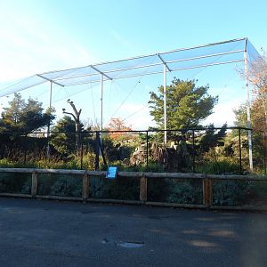 Edge of Europe aviary 081020