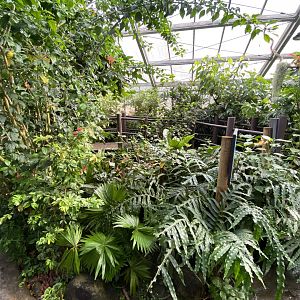 Butterfly House 081020