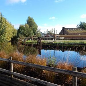 Giraffe enclosure 081020