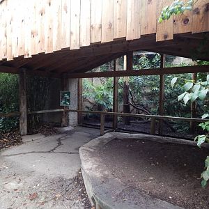Red-billed curassow exhibit 081020