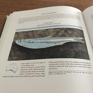 Fishes of Australia’s Southern Coast, Example