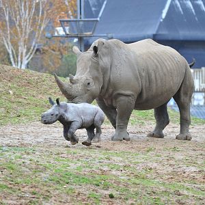 Astrid And her baby Boy exploring