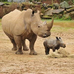 Astrid And her baby Boy