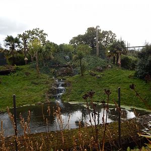 Spirit of the Jaguar - Jaguar outdoors 081020