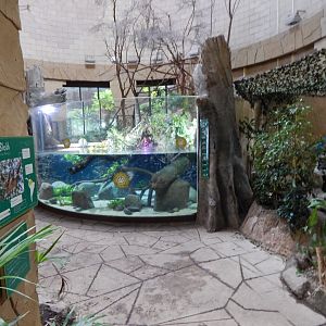 Spirit of the Jaguar indoors 081020