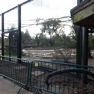 Under development South American walkthrough aviary 081020