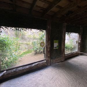 Ecuador amazon parrot enclosure 081020