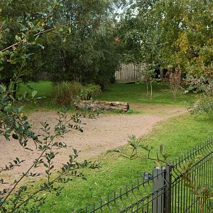 Cheetah enclosure 081020