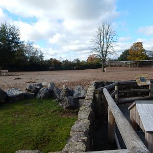 Onager and Bactrian camel enclosure 081020