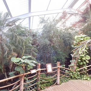 Dragons in Danger aviary 081020