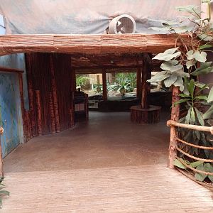 Dragons in Danger 081020