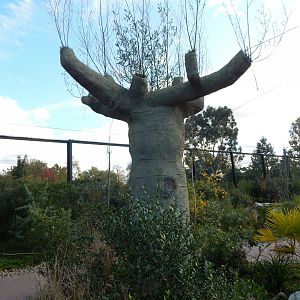 Madagascar - Lemur Walkthrough 081020