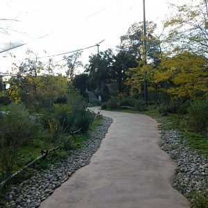 Madagascar - Lemur Walkthrough 081020