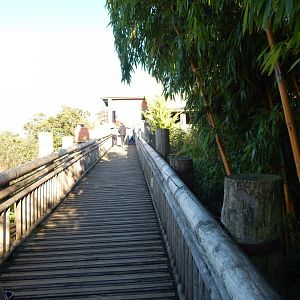 Realm of the Red Ape - entrance ramp 081020