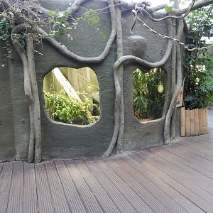 Realm of the Red Ape - indoor exhibit 081020