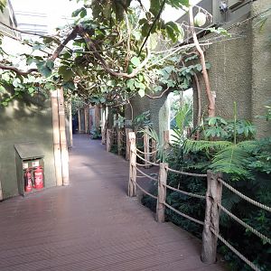 Realm of the Red Ape - indoors 081020