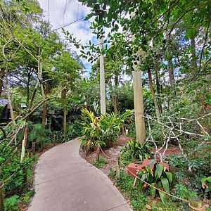 Oct. 2020 - Aviary - Second Walk-thru Aviary (9 Species)