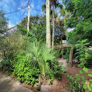 Oct. 2020 - Aviary - First Walk-thru Aviary (15 Species)