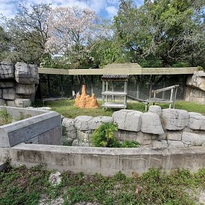 Oct. 2020 - Primate World - Future Bonobo/Former Chimpanzee Exhibit