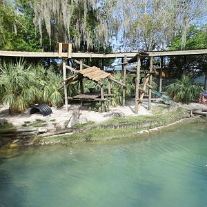 Oct. 2020 - Primate World - Schmidt's Red-tailed Guenon Exhibit