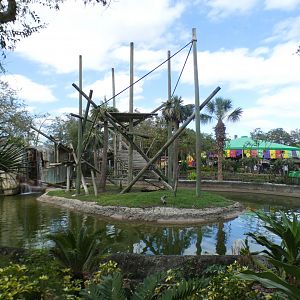 Oct. 2020 - Primate World - Angolan Colobus Exhibit