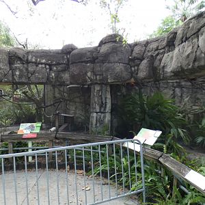 Oct. 2020 - Primate World - Bolivian Gray Titi Monkey + Golden Lion Tamarin Exhibits