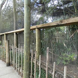 Oct. 2020 - Safari Africa - Blue Duiker + Birds Exhibit (10 Species)